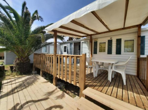 Camping novela MH 25